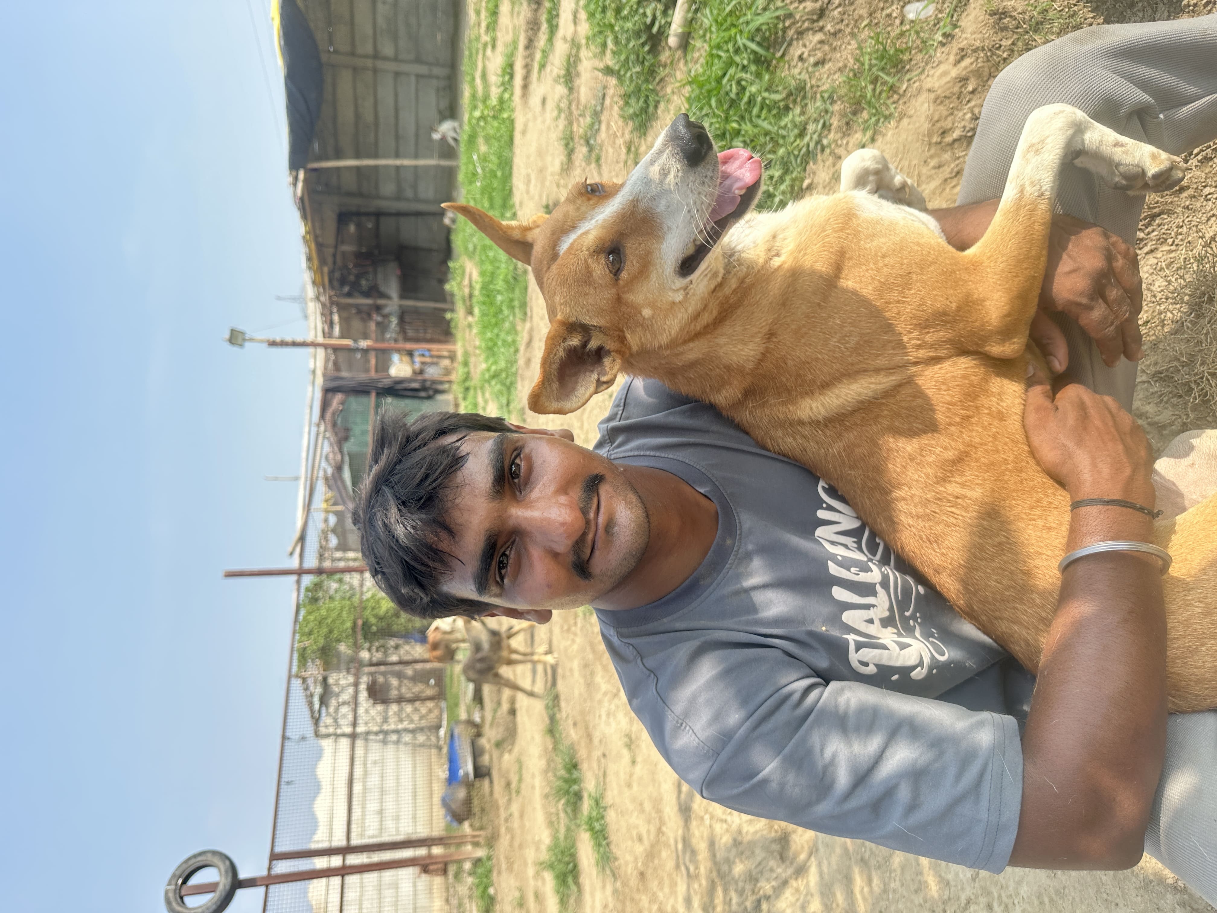 Shelter for Paralysed & Special-Needs