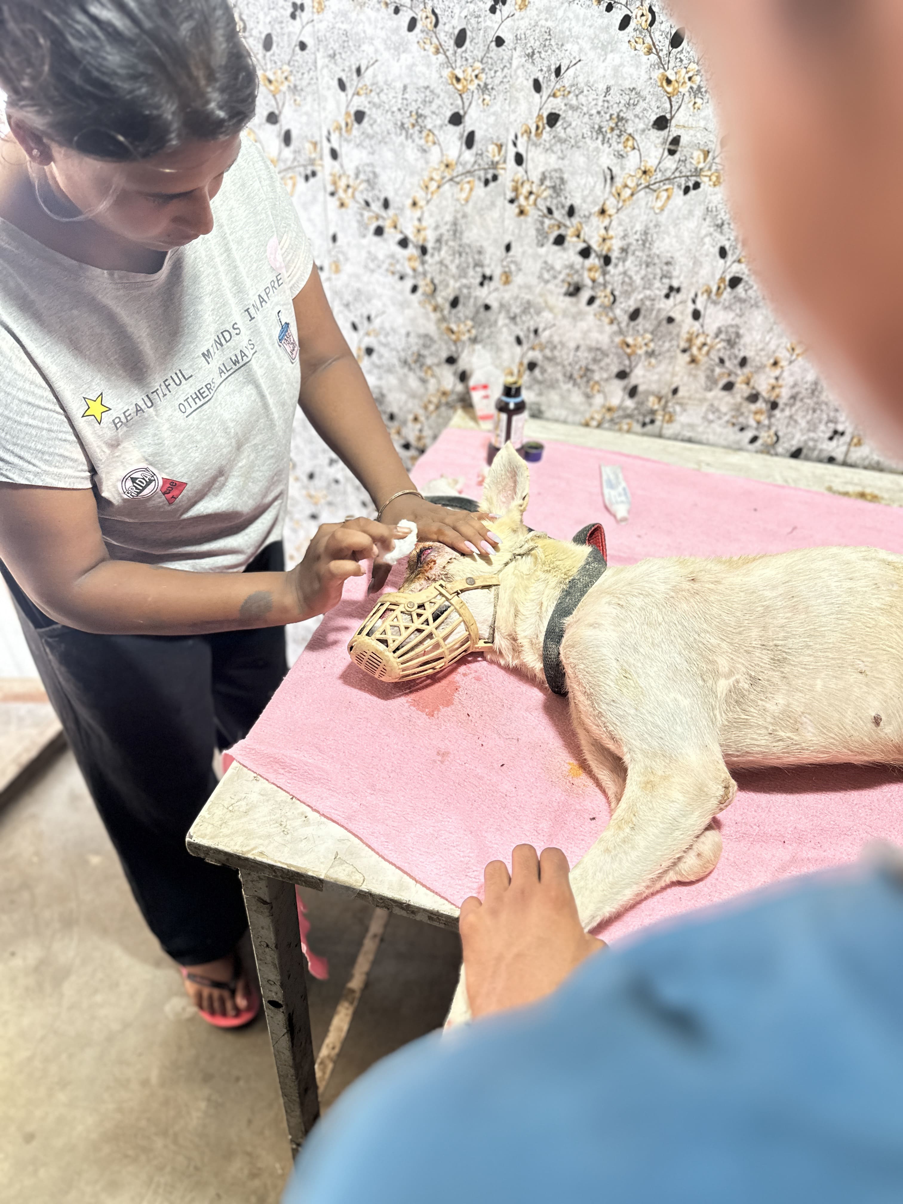 Surgeries & Medicines