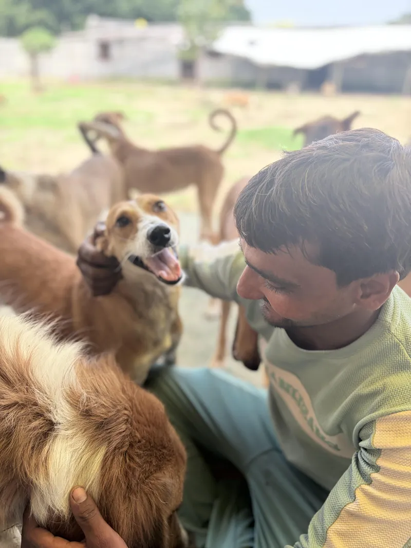 Ramjeet Kumar caring for a rescued animal at Aashiyana