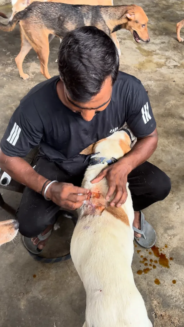 Treatment With Care